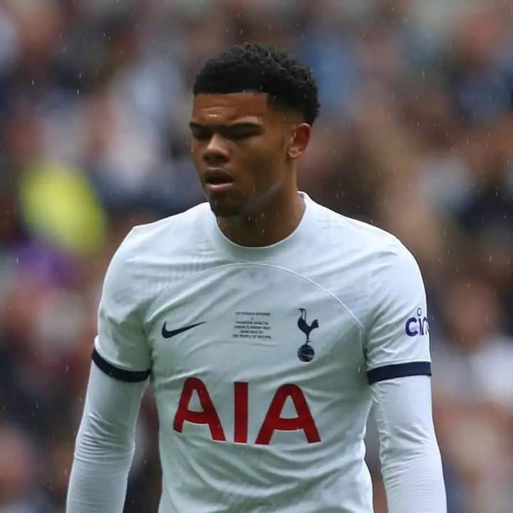 Like Harry Kane: Spurs loose Prime Asset to Rich Football Club