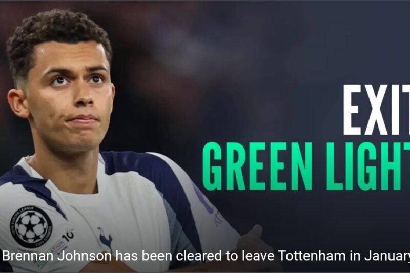 Tottenham alter Brennan Johnson exit strategy as intriguing transfer sees new suitor thunder into race