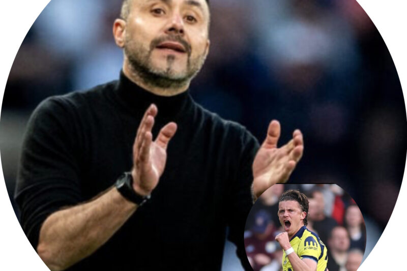 Gallagher Praises De Zerbi Influence as Tottenham Boost Survival Hopes